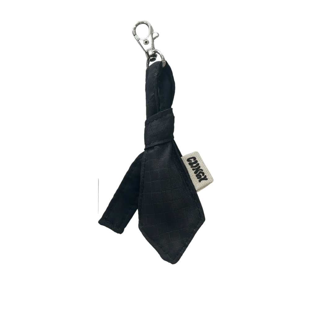 Junior Tie Keychain