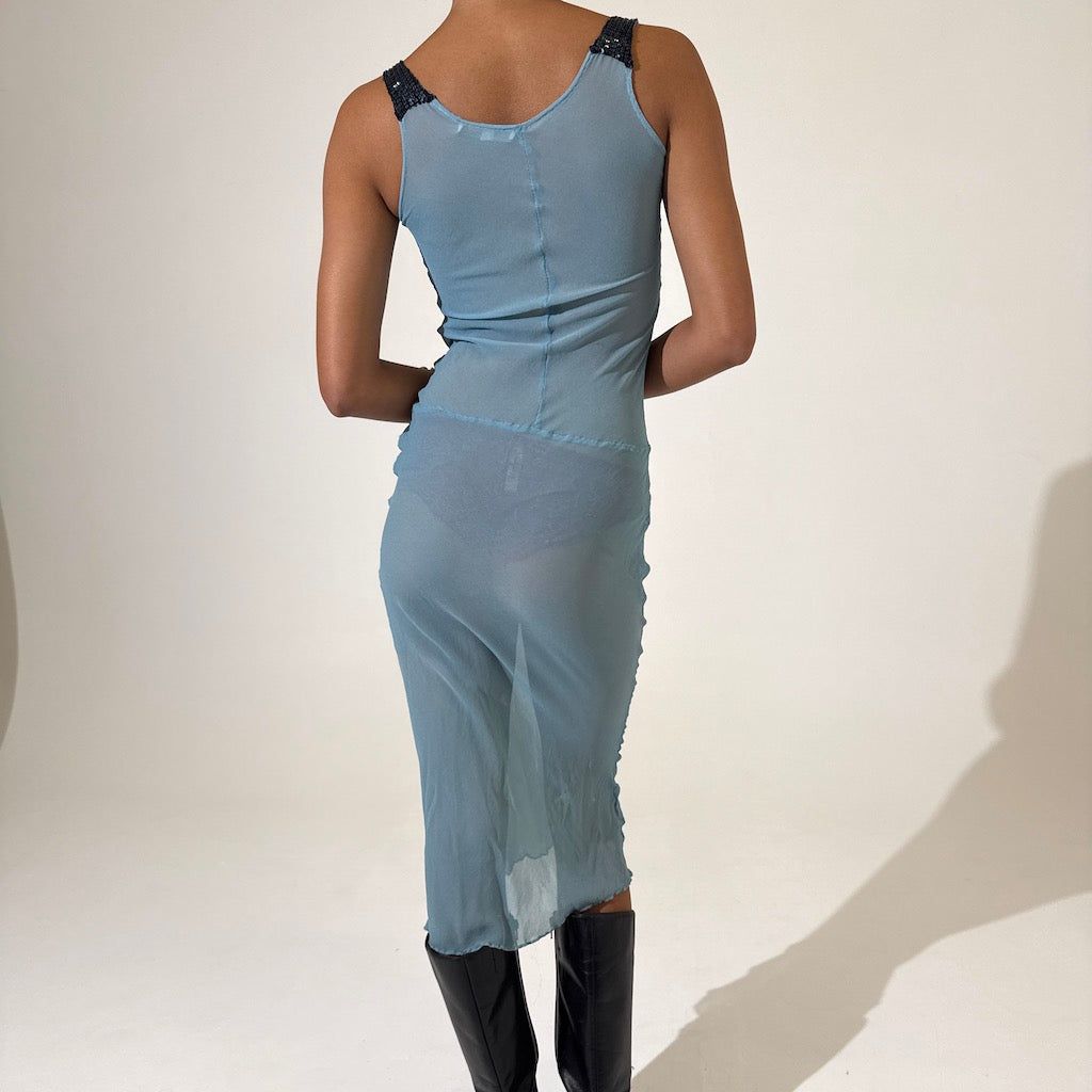 Sexy Sheer Silk Cohen Et Sabine Dress