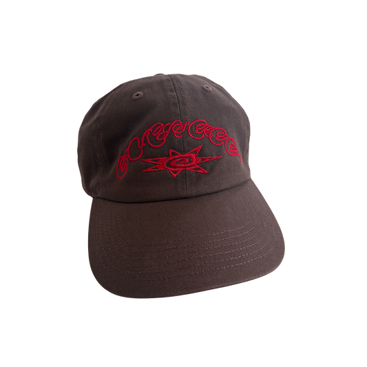 Brown Bug Skin Logo Cap