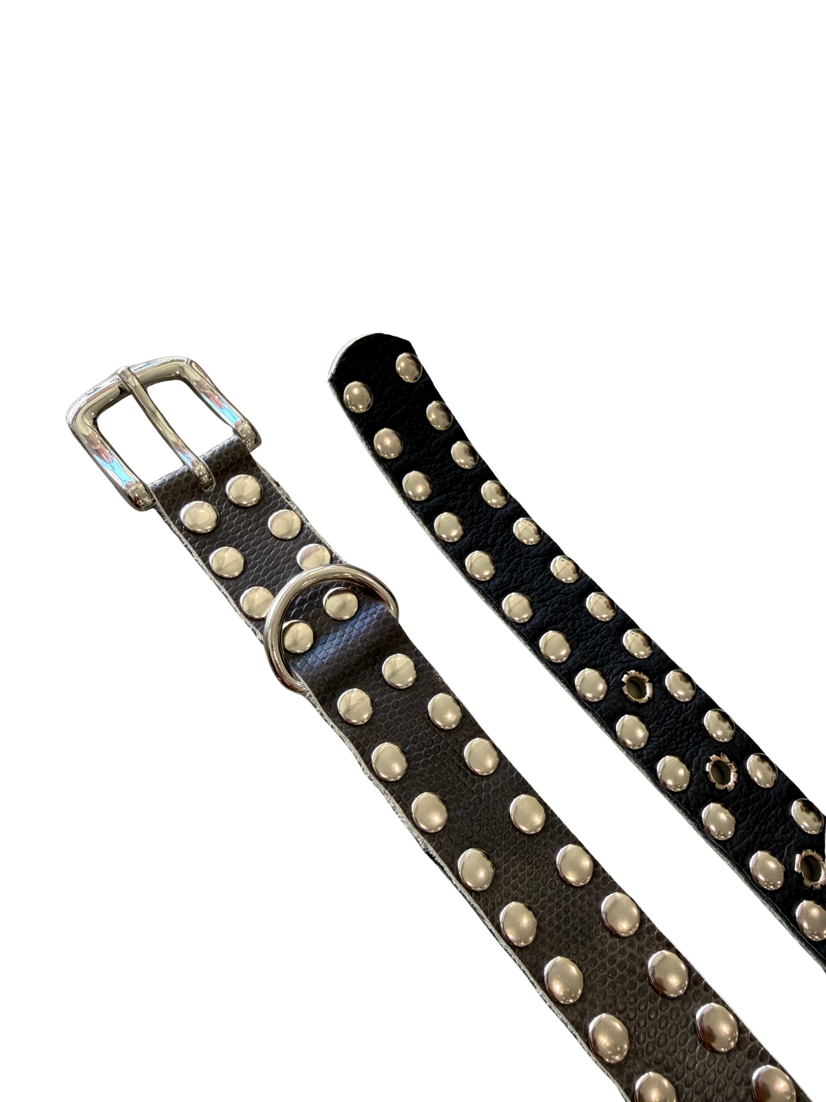 Black Snake Embossed Studded Border Belt