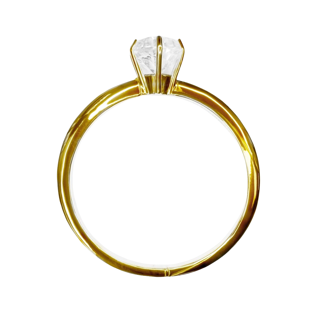 The Big Ring Gold Necklace
