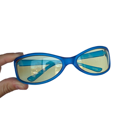 Blue Sporty Y2K Sunglasses